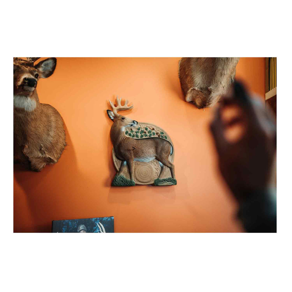 Rinehart 3D Foam Dartboard