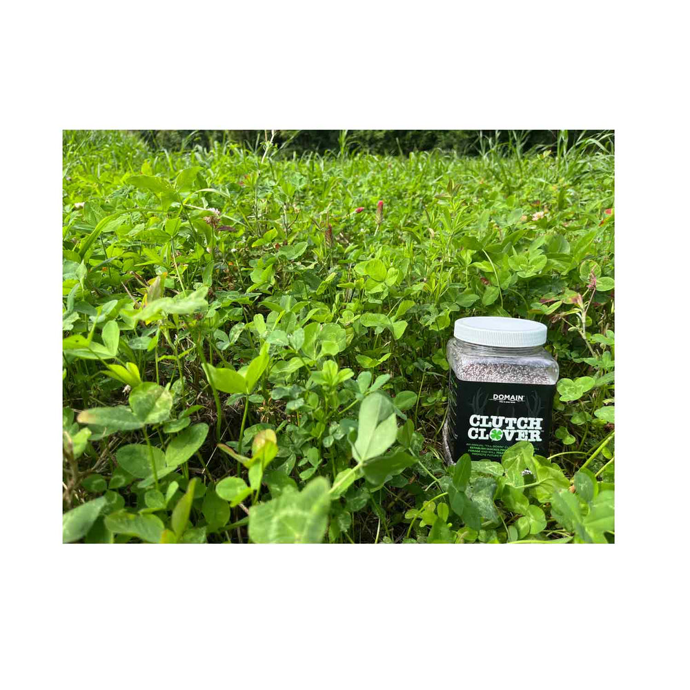 Domain Clutch Clover Food Plot Seed 1/4 Acre