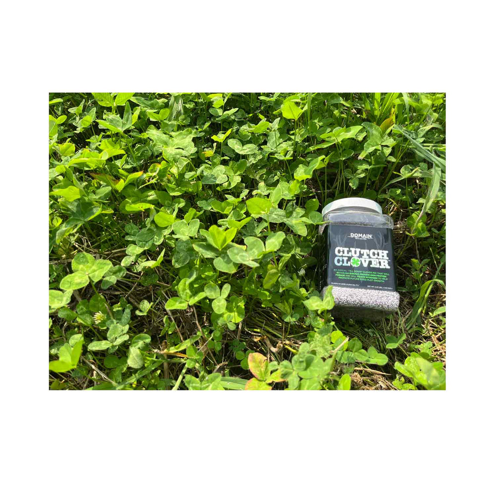 Domain Clutch Clover Food Plot Seed 1/4 Acre