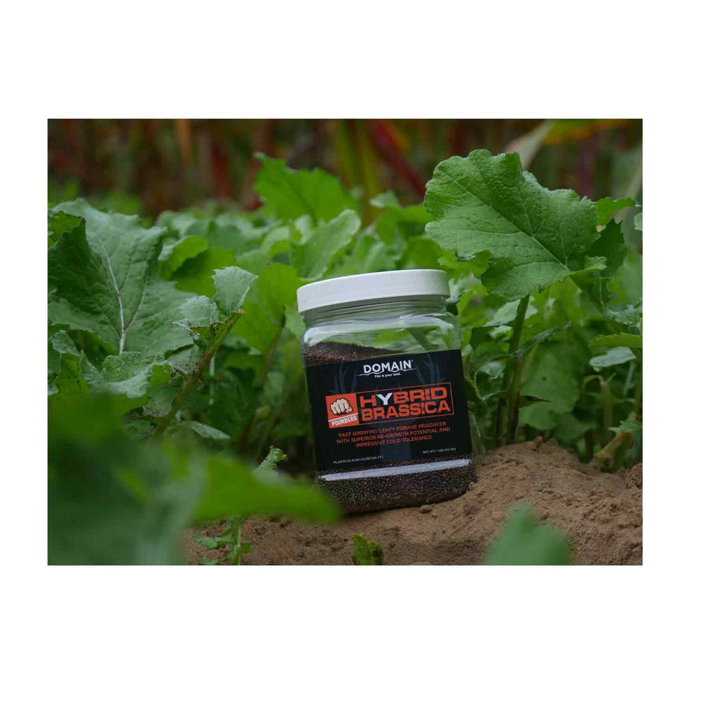 Domain Food Plot Seed Pounder