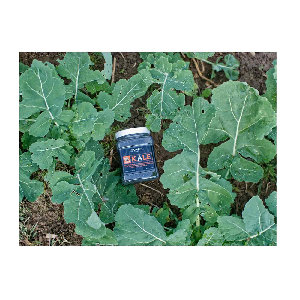 Domain Food Plot Seed Pounder