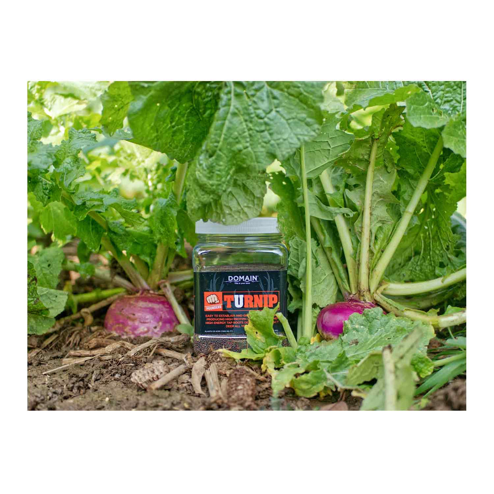 Domain Food Plot Seed Pounder