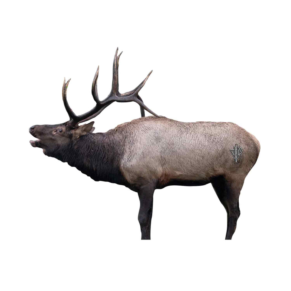 Deadnuts Outdoors 2D Bull Elk Broadside QuivAR Target