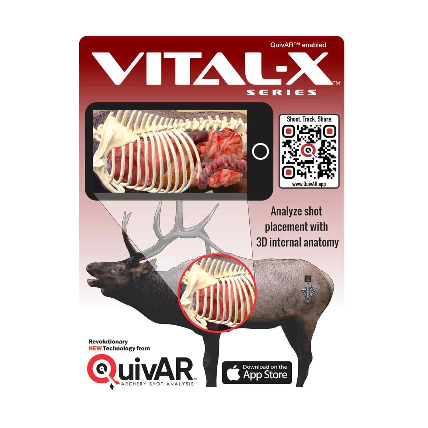 Deadnuts Outdoors 2D Bull Elk Broadside QuivAR Target