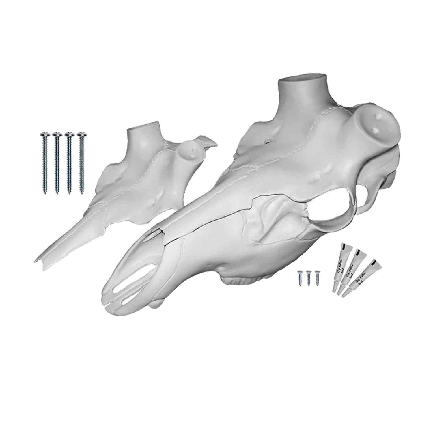 Illusion Elk Skull Master European Mounting Kit