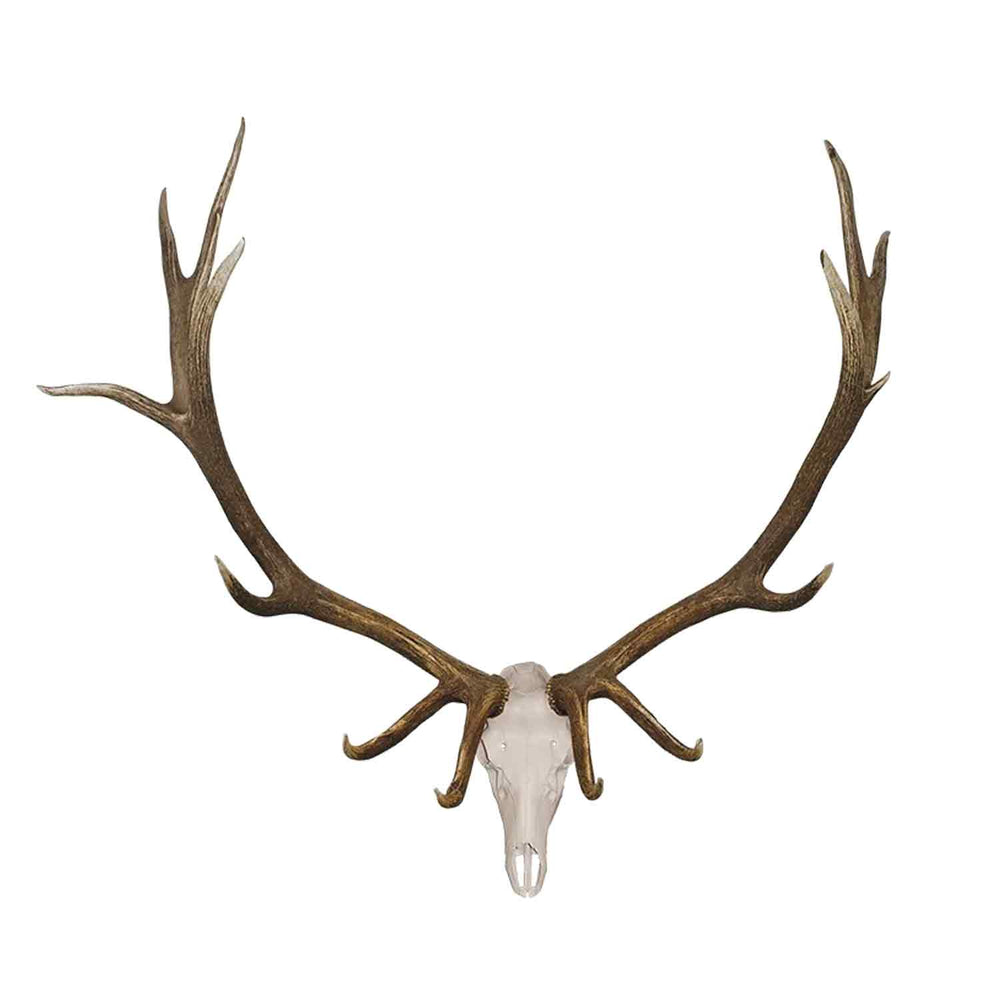 Illusion Elk Skull Master European Mounting Kit