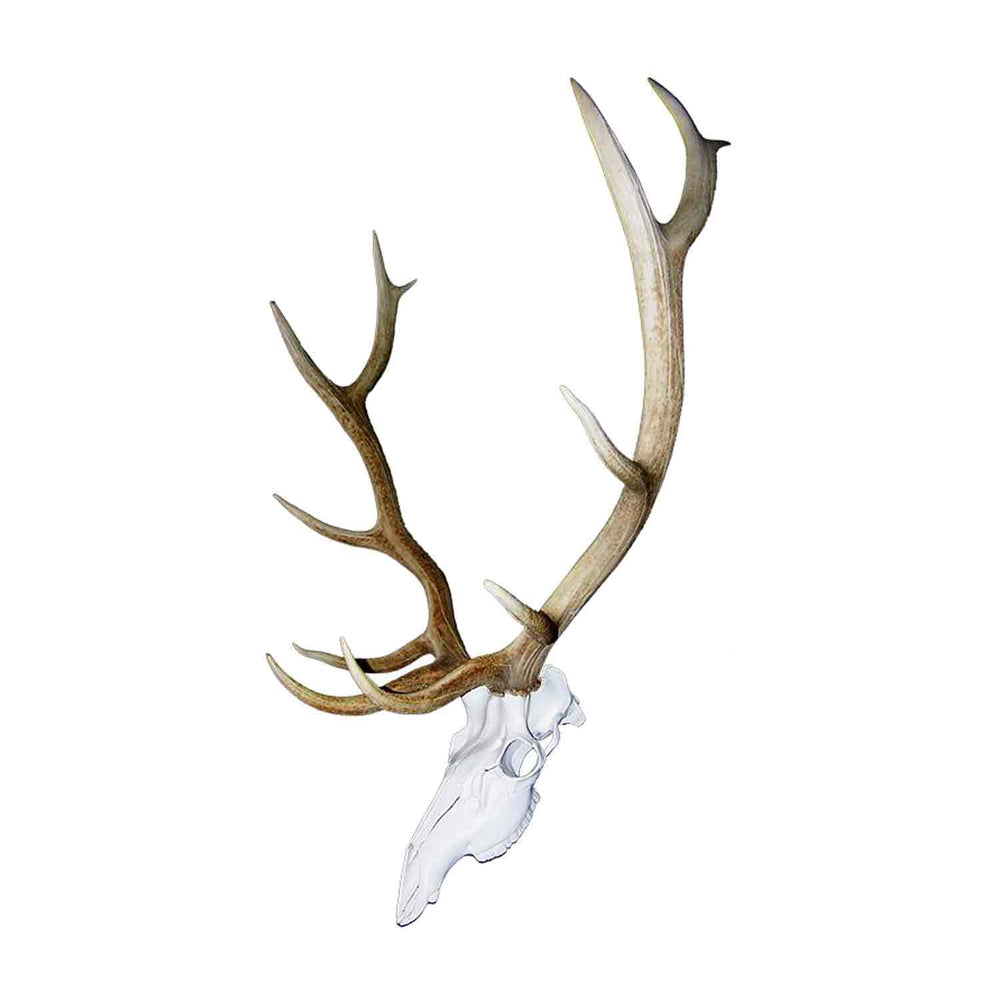 Illusion Elk Record Keeper Mounting Kit