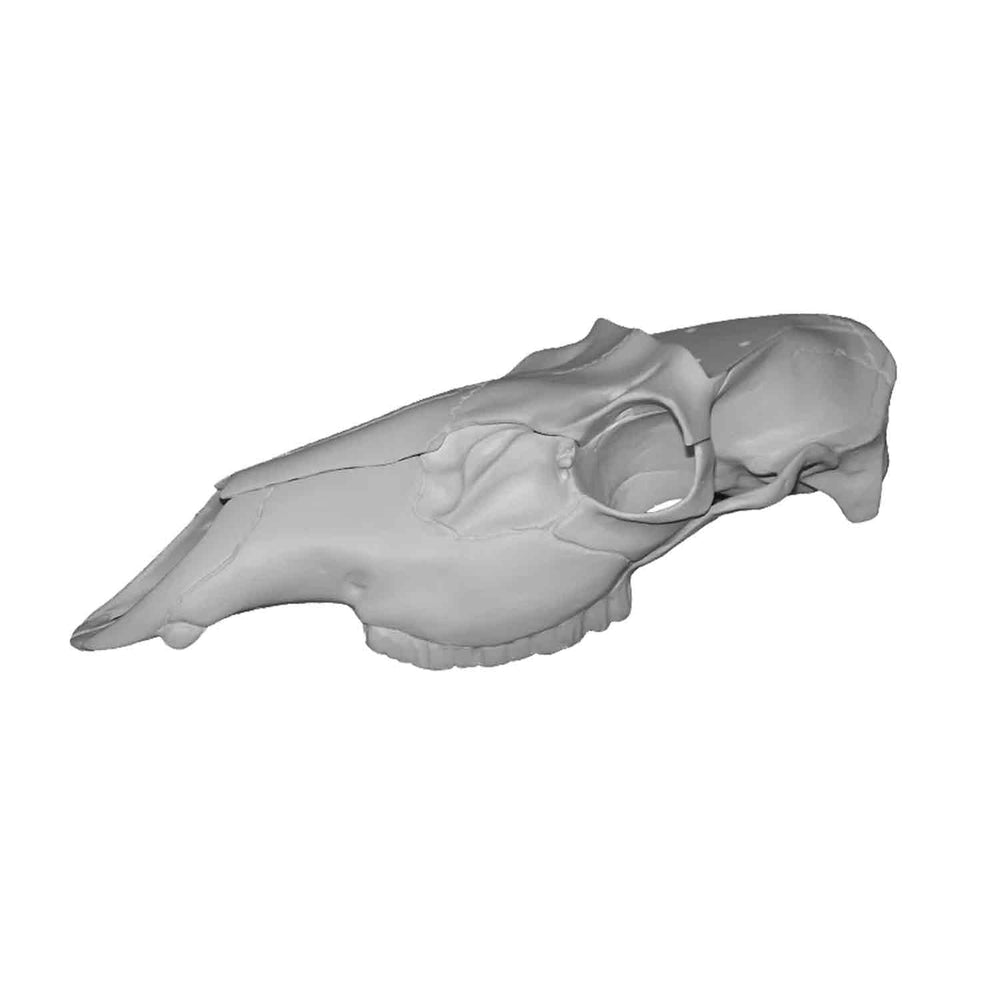 Illusion Elk Record Keeper Mounting Kit