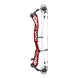 Elite Victra Target Color Compound Target Bow