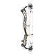 Elite Victra Target Color Compound Target Bow