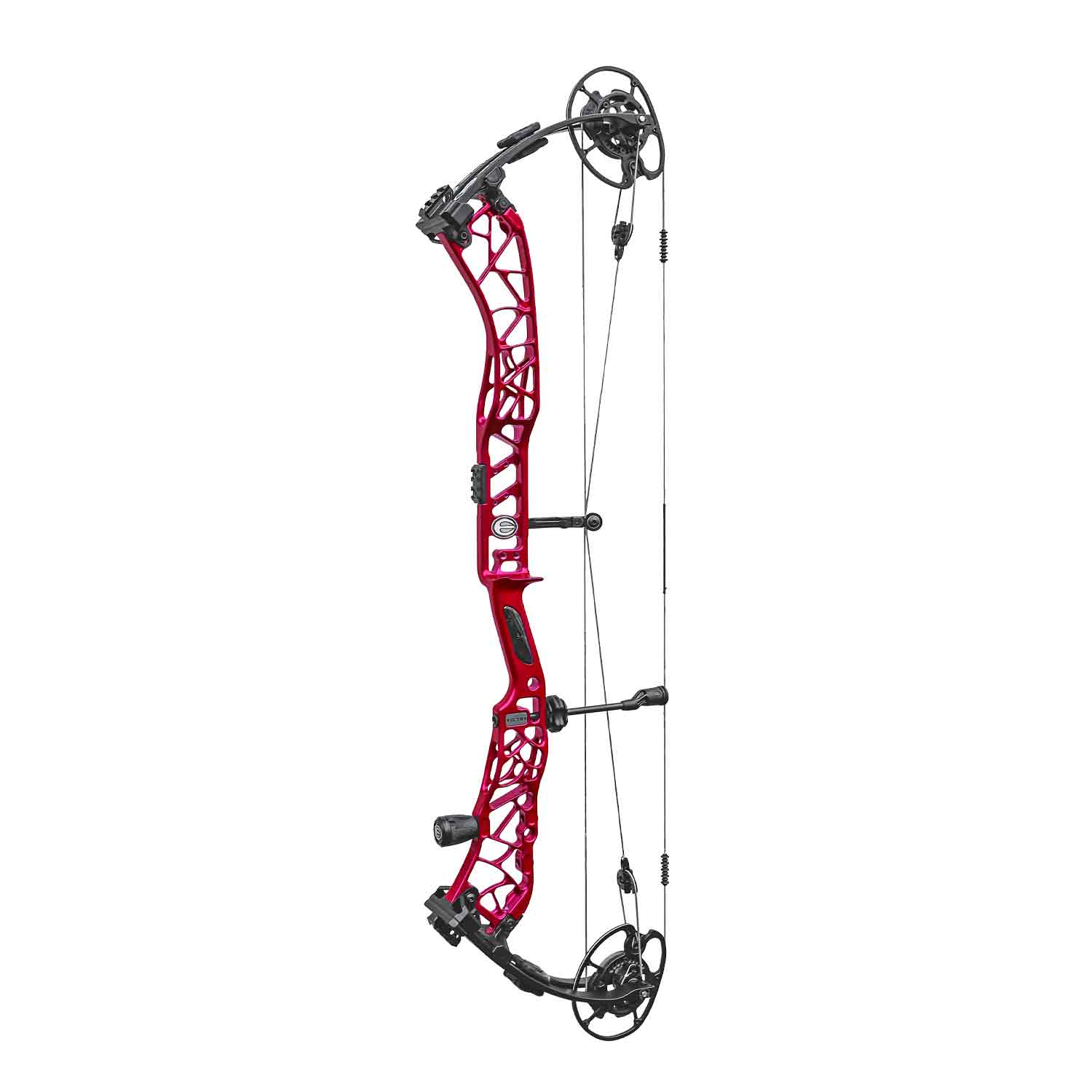 Elite Victra Target Color Compound Target Bow
