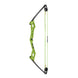 Bear Apprentice Compound Bow