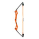 Bear Apprentice Compound Bow