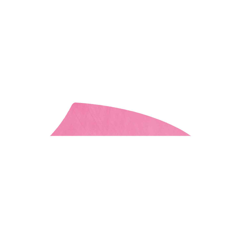 Gateway Rayzr Feathers Pink 2 in. RW 50 pk. main image 0