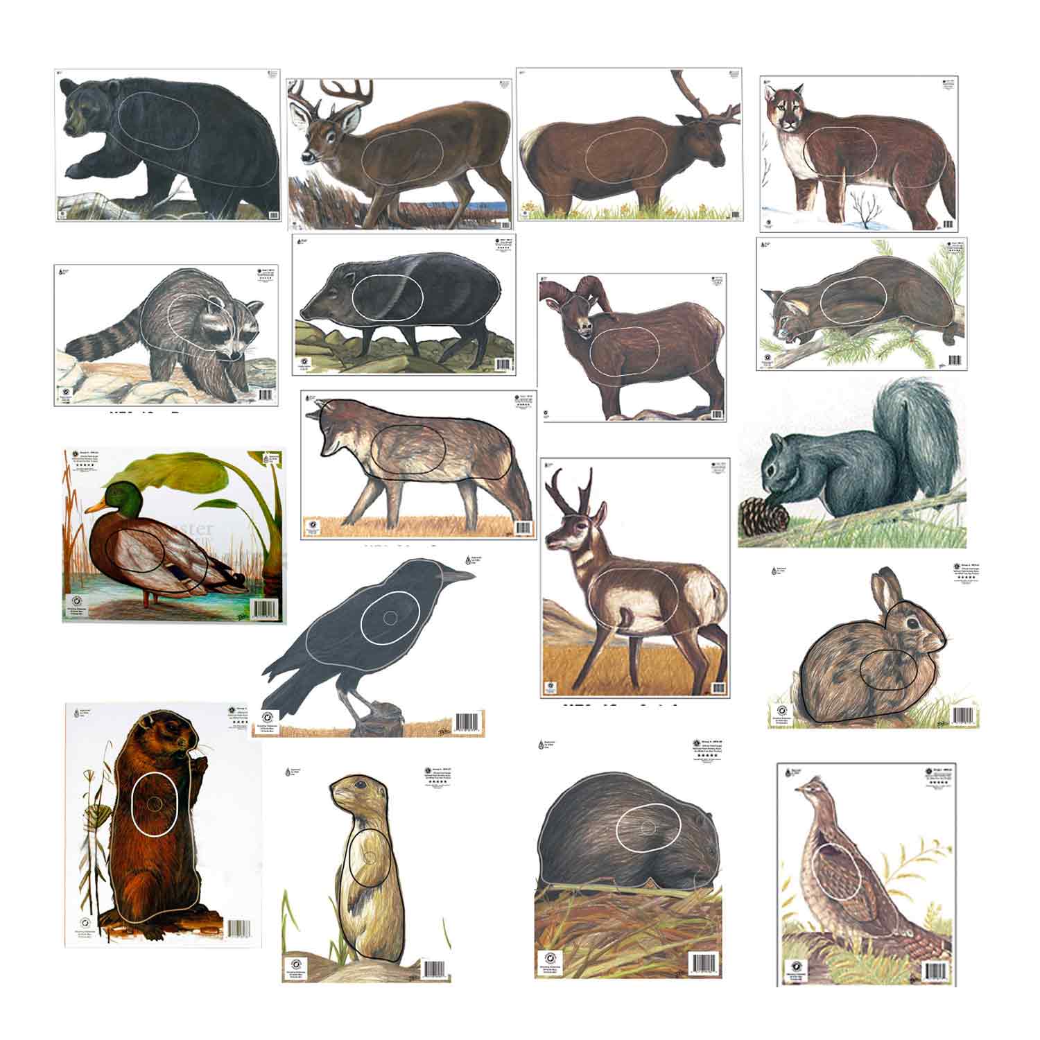 Maple Leaf Official NFAA A-1 Animal 14 Target Set