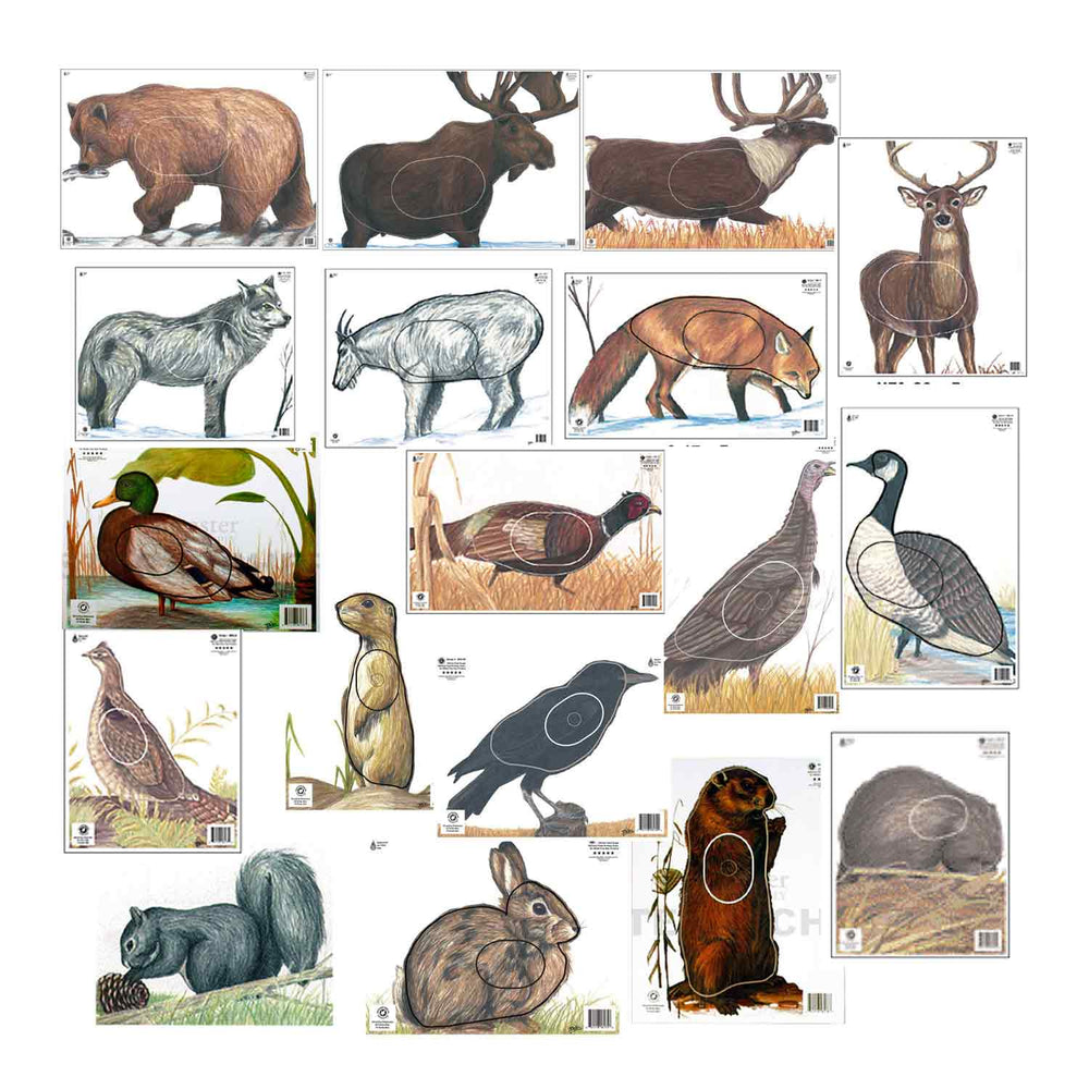 Maple Leaf Official NFAA A-2 Animal 18 Target Set