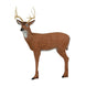 Delta McKenzie Medium Deer Pro Series 3D Target