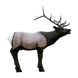 Delta McKenzie Elk QuivAR Enabled Pro 3D Target