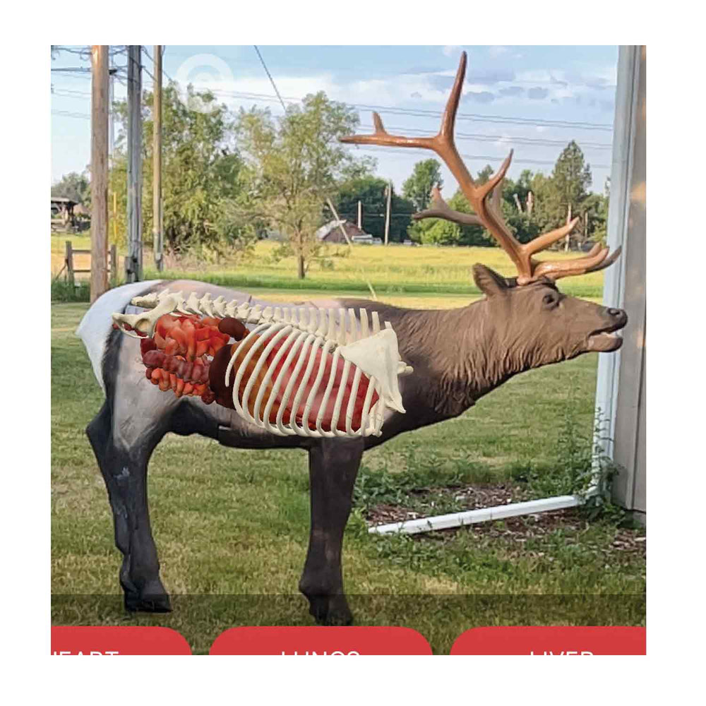 Delta McKenzie Elk QuivAR Enabled Pro 3D Target
