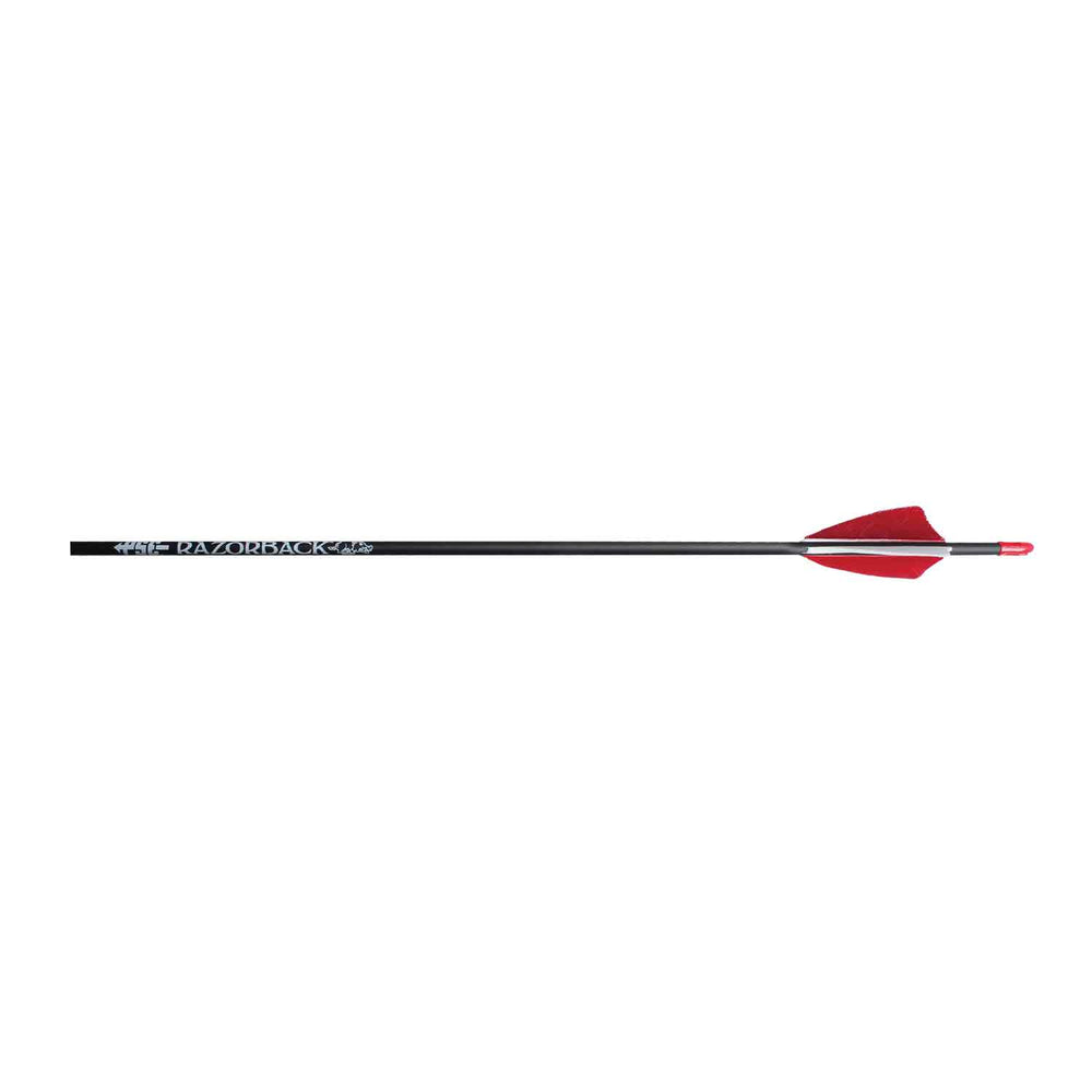 PSE Razorback Youth Arrow