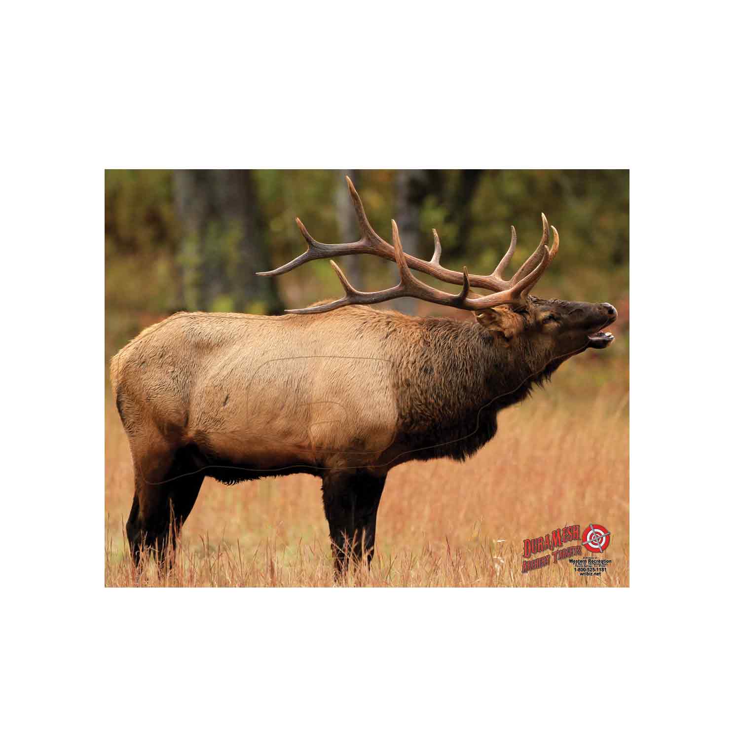 DuraMesh X-Large Big Game Archery Targets