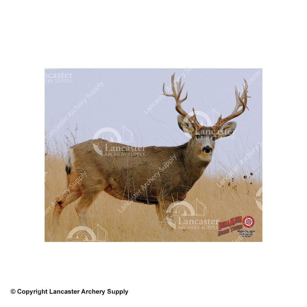 DuraMesh X-Large Big Game Archery Targets