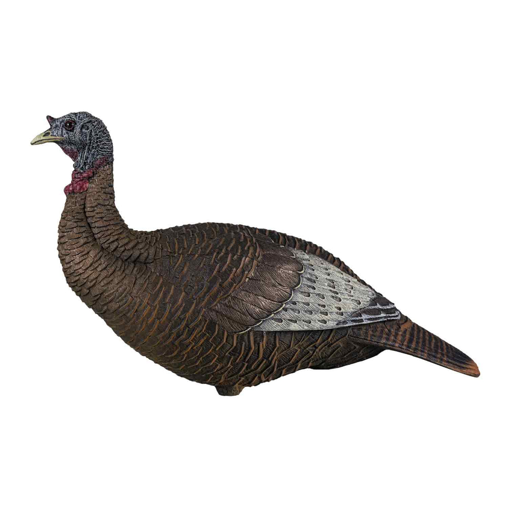 Flextone Thunder Chick Upright Turkey Decoy