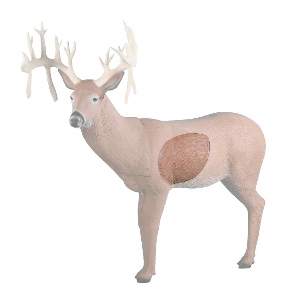 Rinehart Big Ten Buck Insert