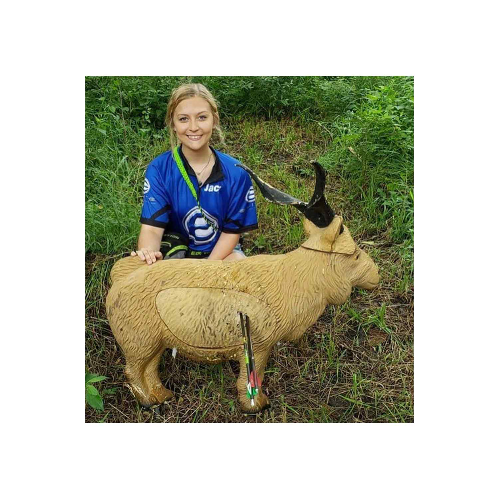 Rinehart Catalina Goat Target