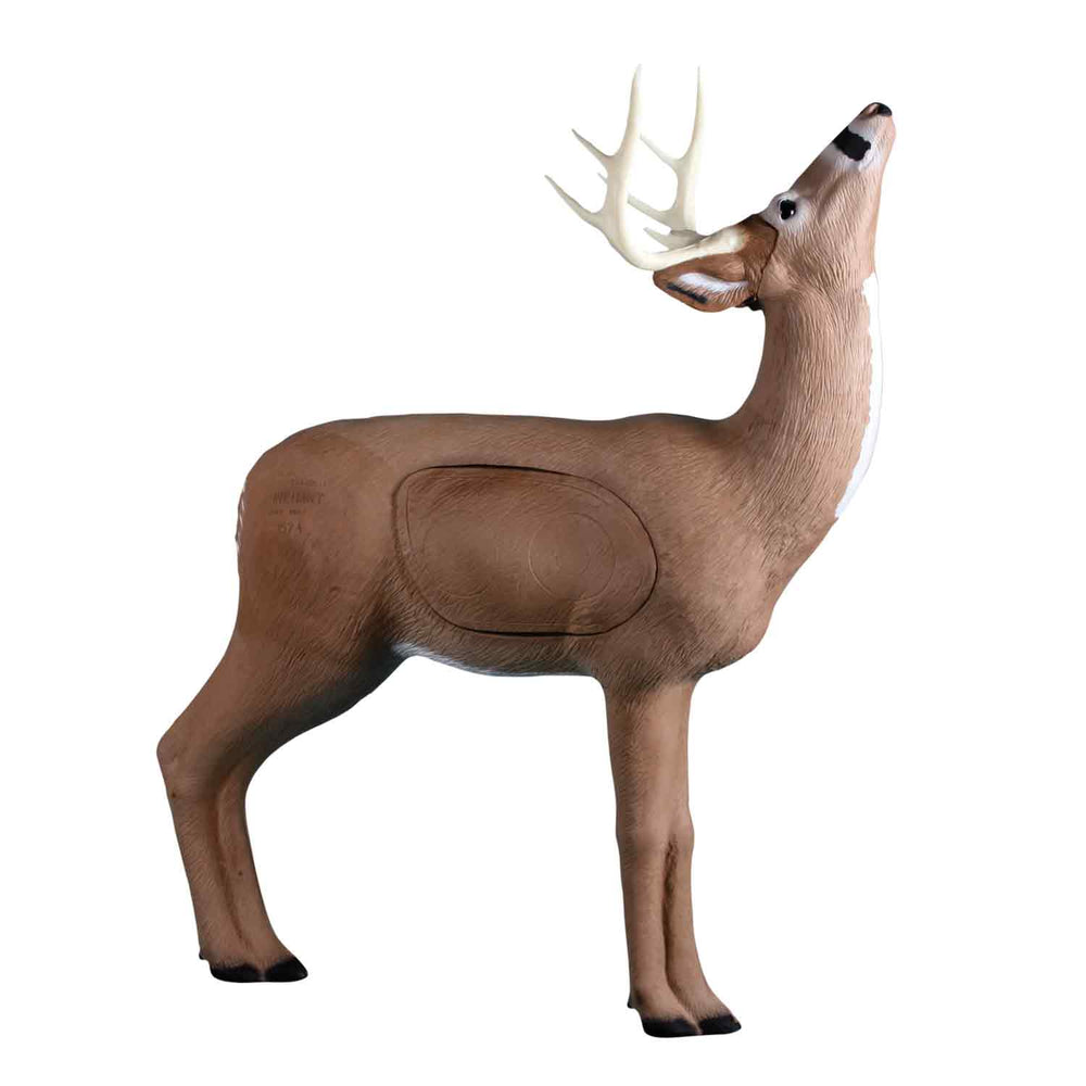 Rinehart Browsing Buck Target