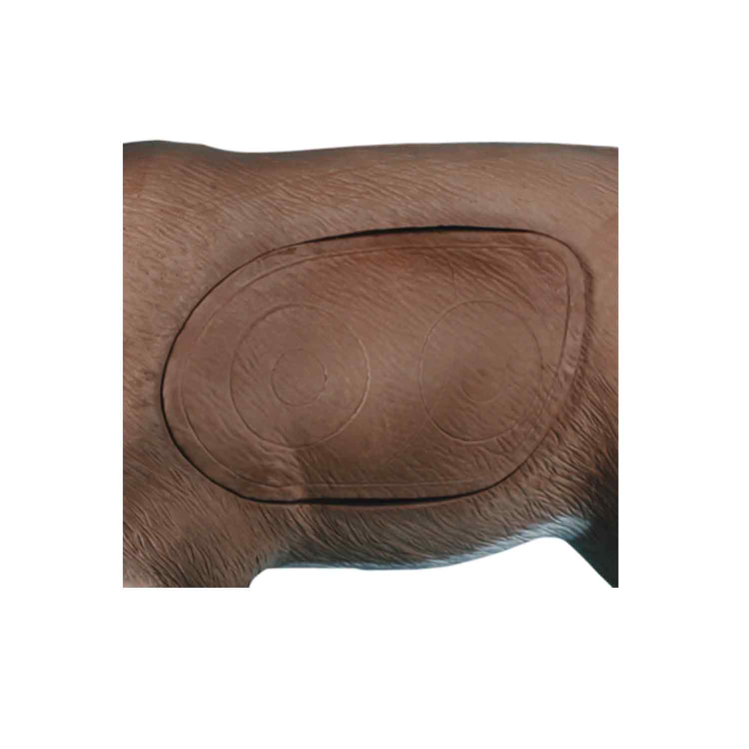 Rinehart Apple / Browsing Buck Target