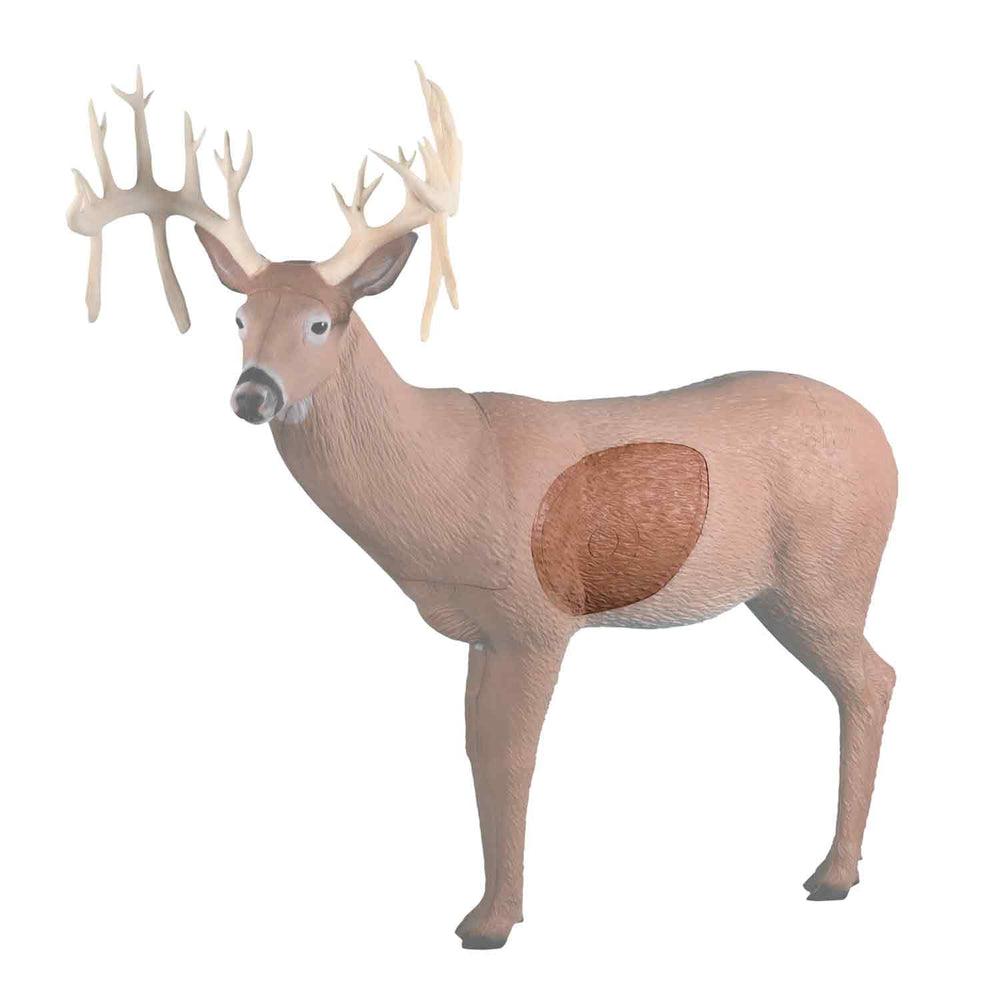 Rinehart 30 Pt. Buck Insert