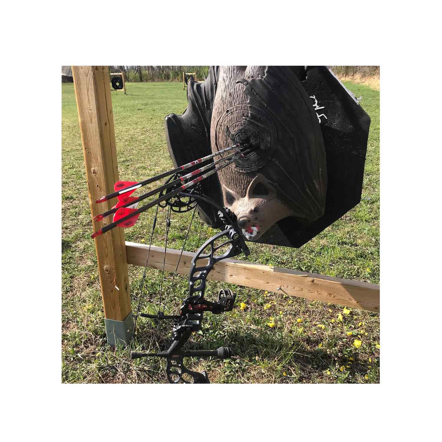 Rinehart Vampire Bat Target