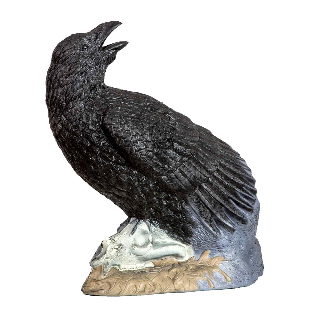 Rinehart Raven Target