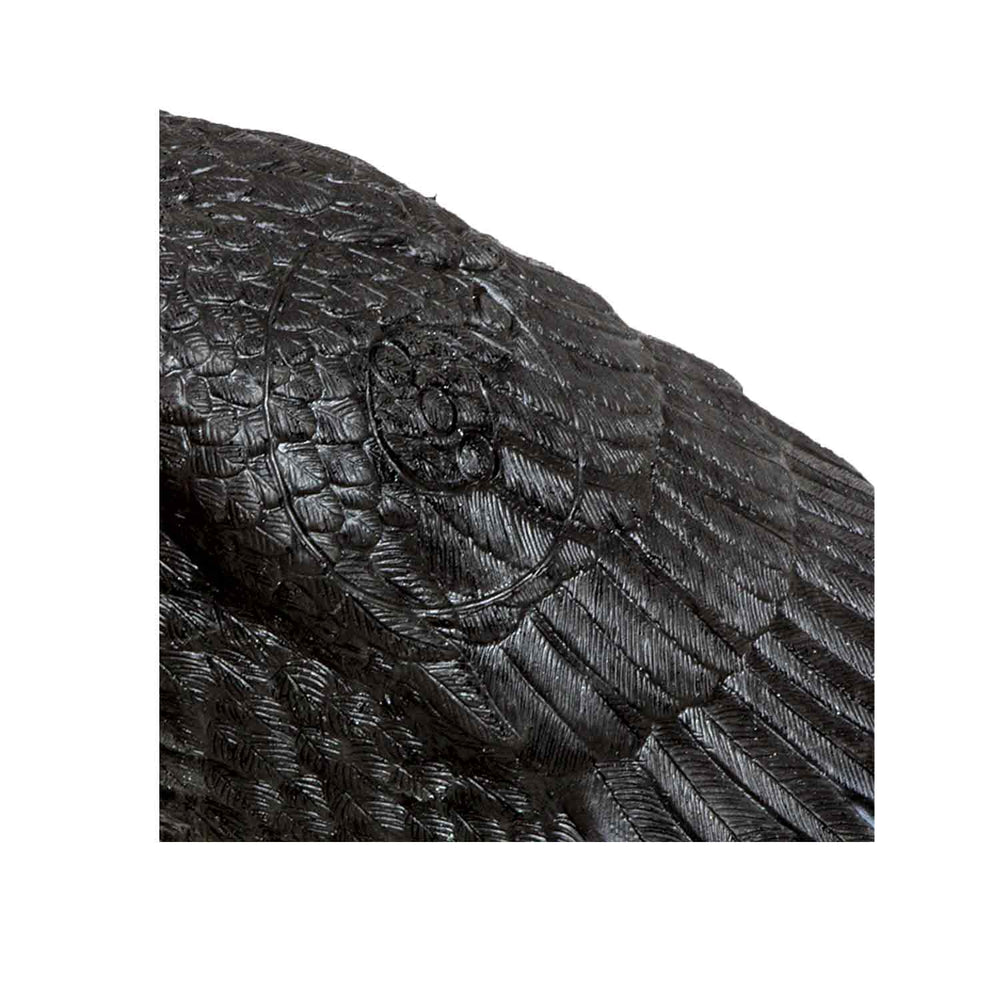 Rinehart Raven Target