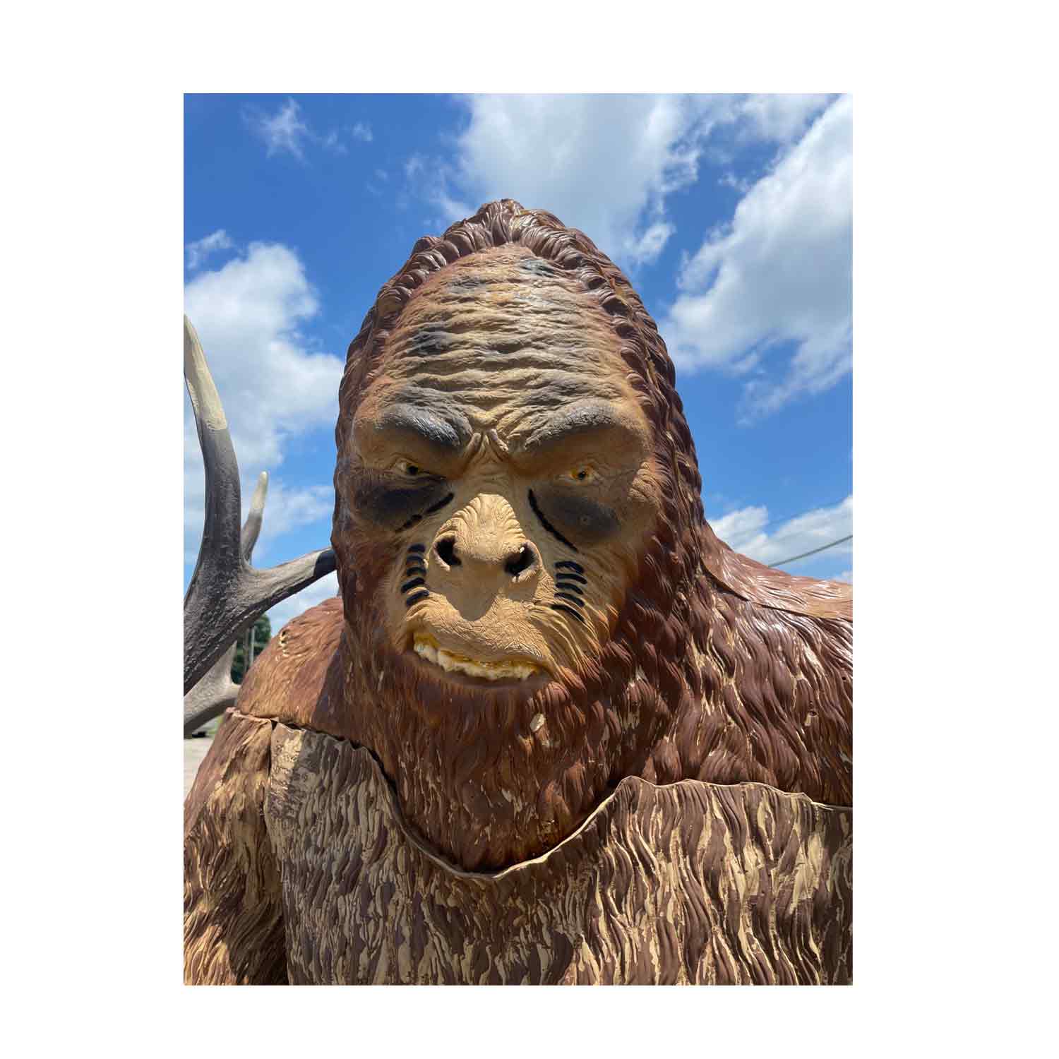 Rinehart Sasquatch Target