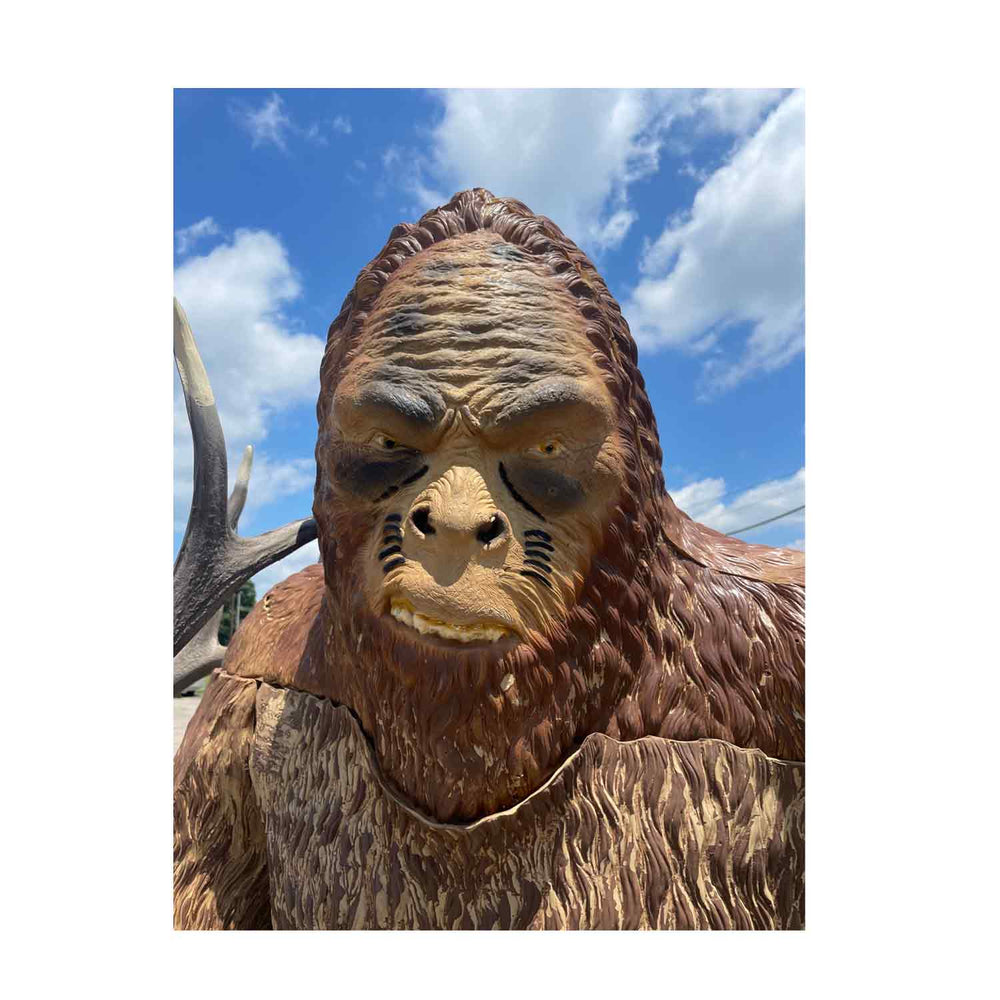 Rinehart Sasquatch Target