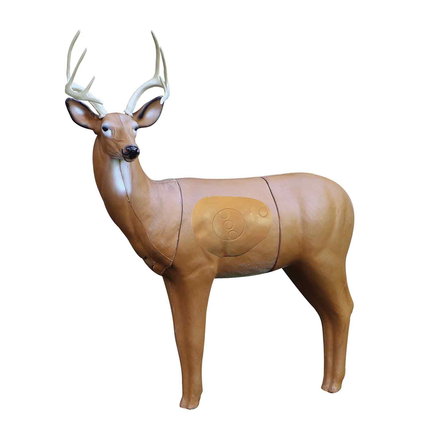 RealWild X-Ray Series Big Buck 3D Target