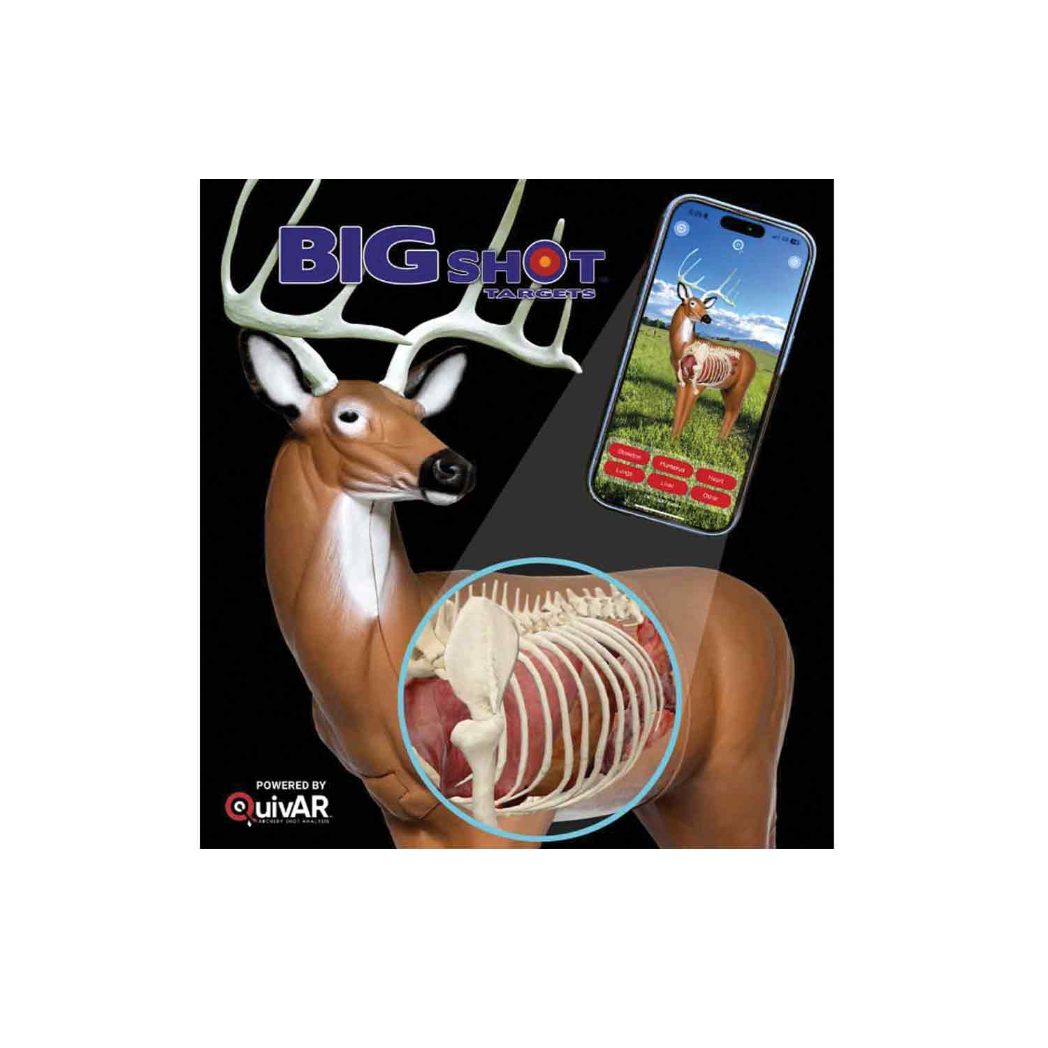 RealWild Big Buck QuivAR Enabled 3D Target