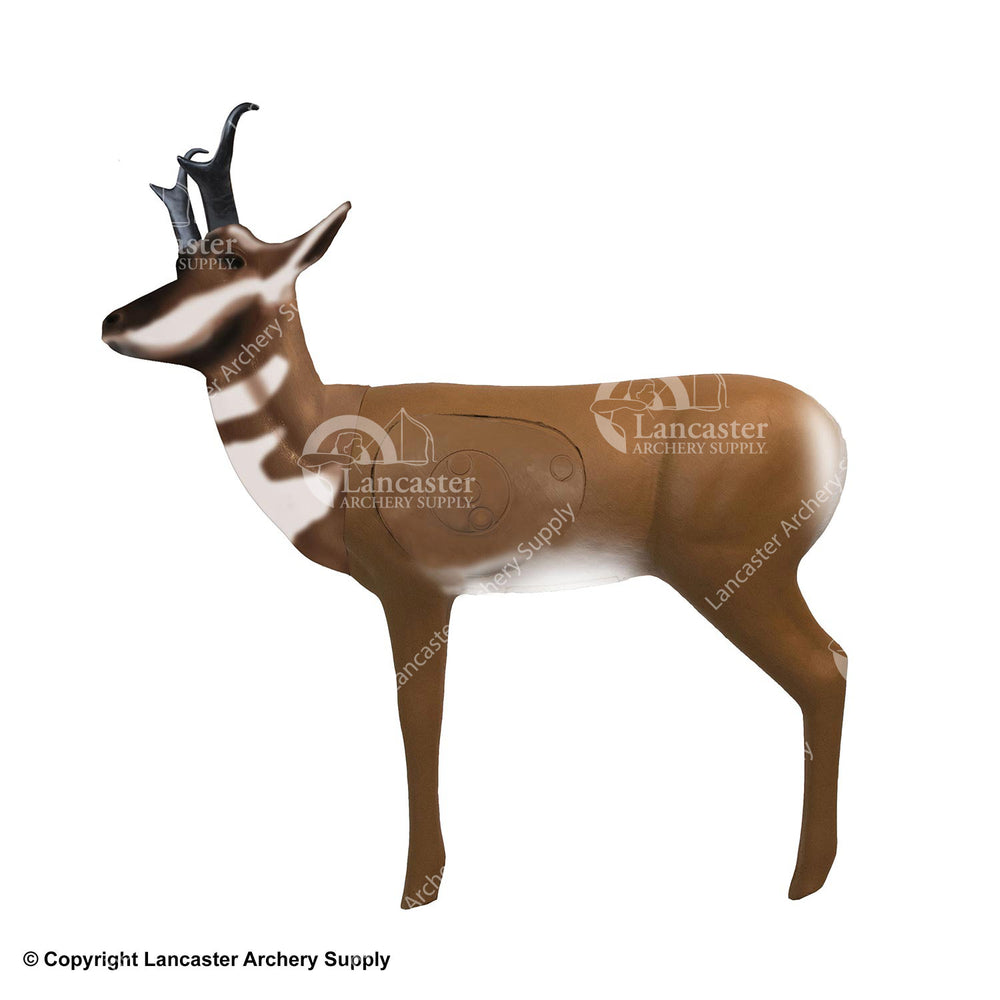 RealWild Pronghorn Antelope 3D Target