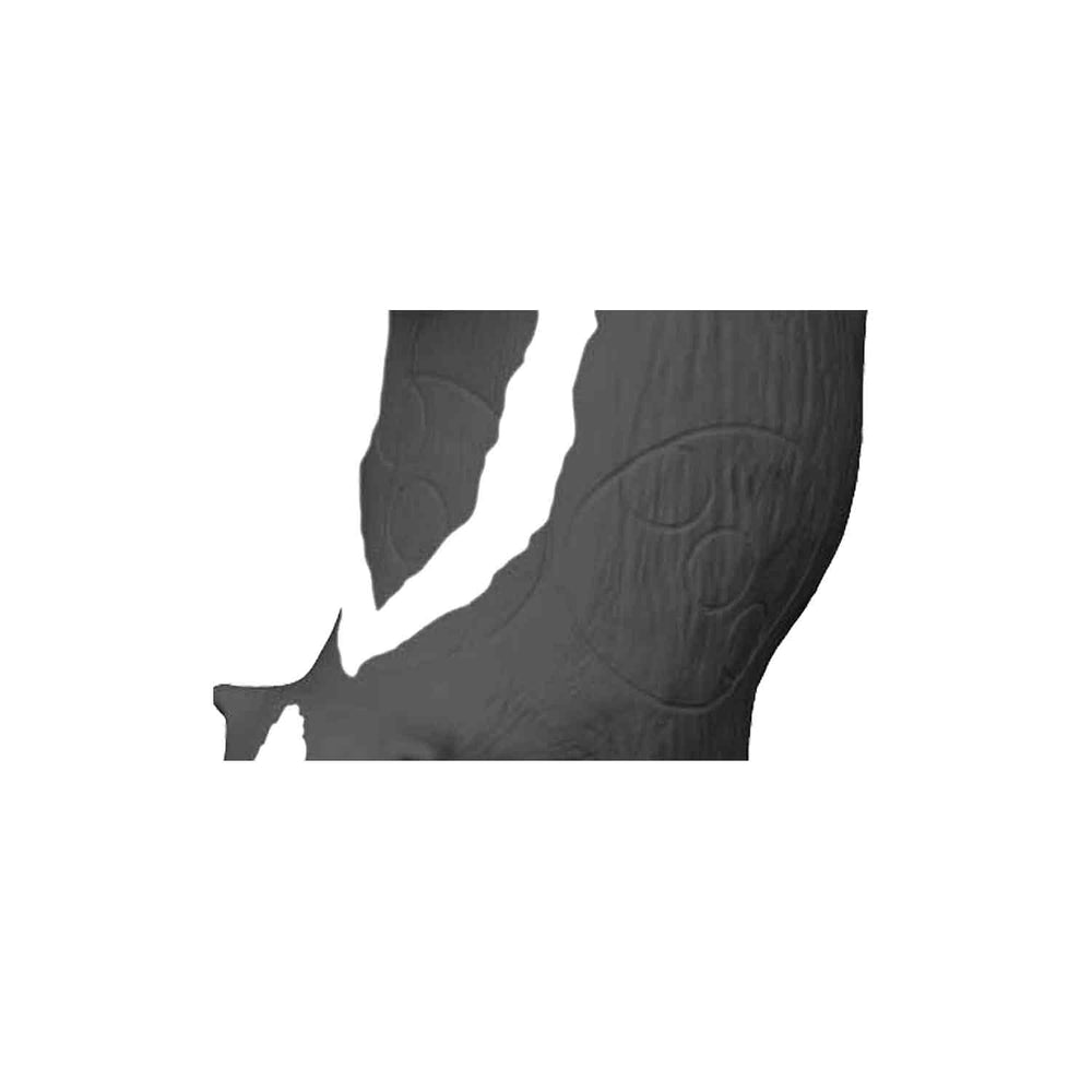 RealWild Skunk 3D Target