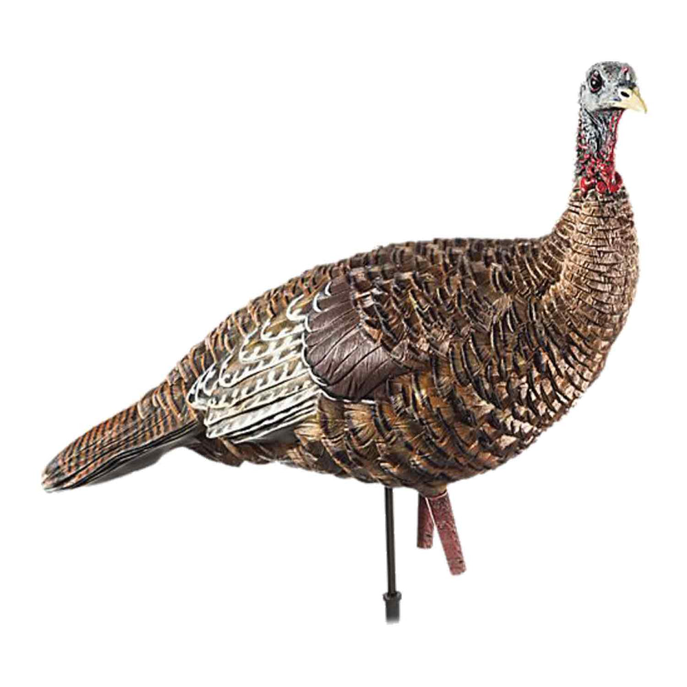 Avian-X LCD Lookout Hen Turkey Decoy