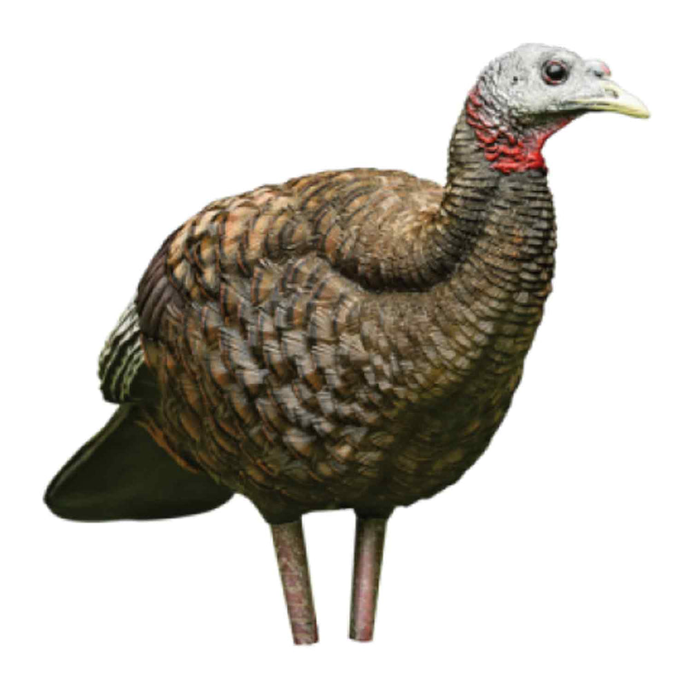 Avian-X LCD Breeder Hen Turkey Decoy
