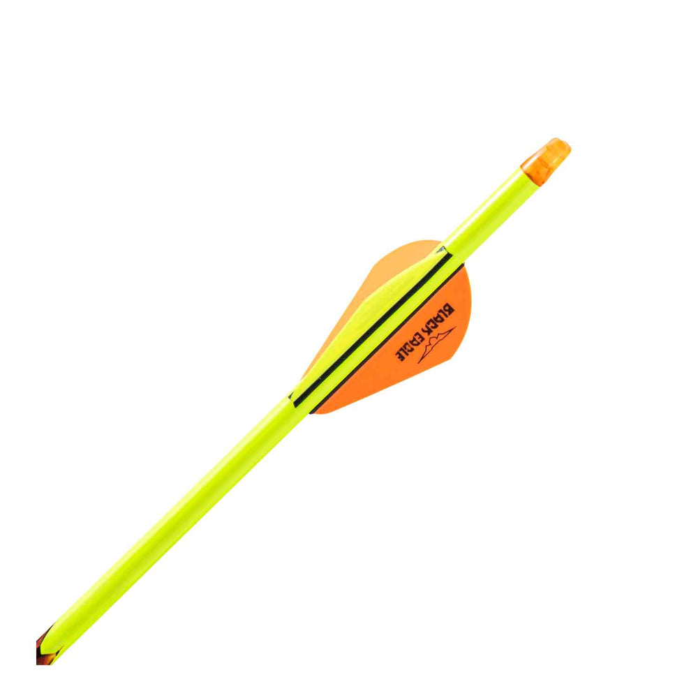 Black Eagle Renegade Fletched Arrows