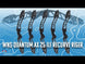 WNS Quantum AX 25