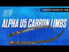 Uukha Alpha U5 Carbon ILF Recurve Limbs