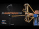 PSE Shootdown Pro Compound Target Bow (SE2 Cam)