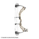 Bowtech Carbon Zion Compound Bow