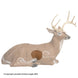Delta McKenzie Bedded Deer Pro 3D Replacement Core