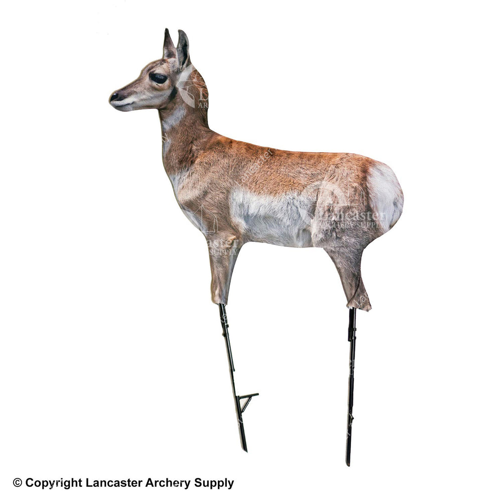 Montana Decoy Antelope Fawn Decoy